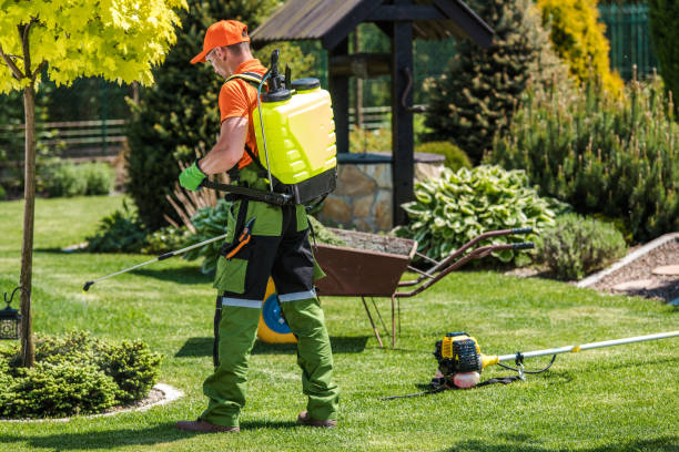 Outdoor Pest Control in Channel Lake, IL